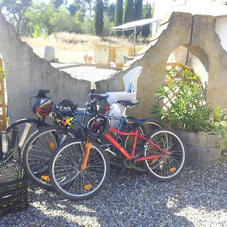 Les Pins * Laure-Minervois