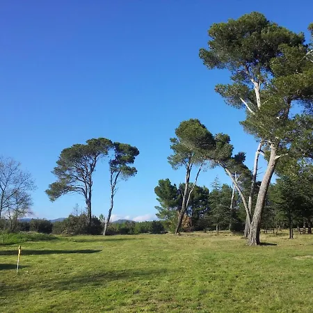 Les Pins Laure-Minervois