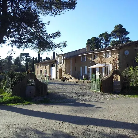 Les Pins * Laure-Minervois